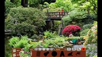 Nature Escapes 5 screenshot, image №4023330 - RAWG