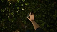 Morels: The Hunt screenshot, image №2176349 - RAWG