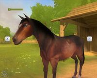 Petz Horse Club screenshot, image №505980 - RAWG