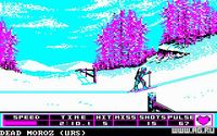 Winter Games screenshot, image №336419 - RAWG