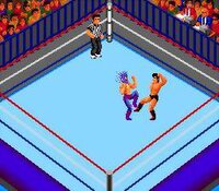 Fire Pro Wrestling Combination Tag screenshot, image №3943742 - RAWG