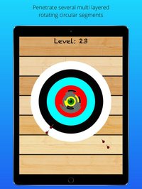 Hitting the bullseye: Full screenshot, image №1815840 - RAWG