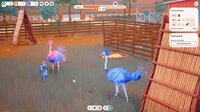 Ostrich Farm screenshot, image №4225117 - RAWG