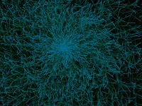 Delirium Free music visualizer screenshot, image №967804 - RAWG