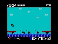 Ninjakul 2: The Last Ninja screenshot, image №1825187 - RAWG