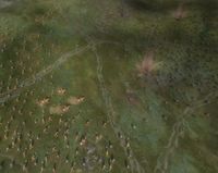 Warhammer: Mark of Chaos screenshot, image №438693 - RAWG