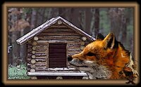 Las Aventuras de Rudolphine Rur screenshot, image №2480820 - RAWG