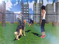 Dog Simulator. Best Puppy Evolution Simulation For Kids screenshot, image №870341 - RAWG