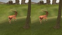 VR Forest Animal Adventure screenshot, image №939191 - RAWG