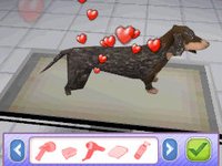 Let's Play: Pet Hospitals screenshot, image №523298 - RAWG