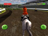 Horse Racing - Race Horses Derby 3D screenshot, image №1706256 - RAWG