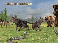 Wild Cat Survival screenshot, image №975982 - RAWG