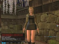 Dead or Alive Online screenshot, image №480121 - RAWG