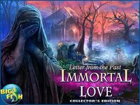 Immortal Love: Letter From The Past Collector's Edition - A Magical Hidden Object Game (Full) screenshot, image №1831968 - RAWG