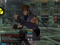 Dead or Alive Online screenshot, image №480191 - RAWG