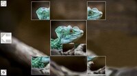 Puzzle Art: Reptiles screenshot, image №3077265 - RAWG