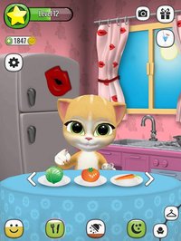 My Talking Virtual Cat Emma screenshot, image №964508 - RAWG