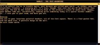 Hamlet - The text adventure screenshot, image №2252005 - RAWG