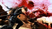 Ninja Gaiden 3 screenshot, image №564240 - RAWG