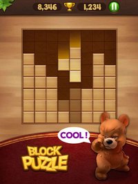 Block Puzzle Wood screenshot, image №903351 - RAWG