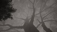 Calming Forest screenshot, image №4178579 - RAWG