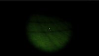 Bad Horror Game (EPICFAMERNEST) screenshot, image №3649662 - RAWG