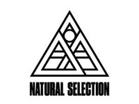 Natural Selection Simulation Interaction screenshot, image №3361655 - RAWG