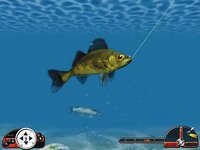 In-Fisherman Freshwater Trophies screenshot, image №407306 - RAWG