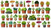 TESTE PLANTAS screenshot, image №2584637 - RAWG