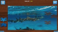 Bepuzzled Jigsaw Puzzle: Aquatic screenshot, image №2013837 - RAWG