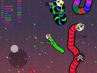 Kitty.IO - Roller Neko Cats screenshot, image №2800967 - RAWG