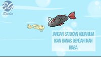 Ikan Unik screenshot, image №1184383 - RAWG