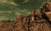 Fallout: New Vegas - Honest Hearts screenshot, image №575810 - RAWG