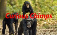 Curious Chimps screenshot, image №3597004 - RAWG