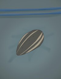What we leave behind (Team CUDAS) screenshot, image №3778239 - RAWG