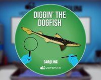 VR Dogfish Dissection: Diggin' the Dogfish screenshot, image №2301575 - RAWG