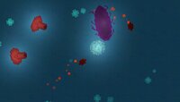 Funny Cell Game screenshot, image №3576134 - RAWG