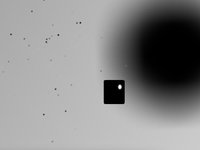 Pathfinder (LTPGames) screenshot, image №1607243 - RAWG
