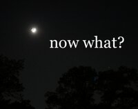 now what? (Samuel Fung) screenshot, image №2853544 - RAWG