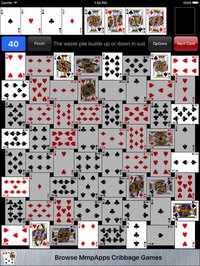 Crazy Quilt Solitaire Classic screenshot, image №1612428 - RAWG