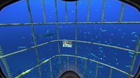 World of Diving screenshot, image №113406 - RAWG