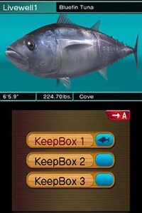 Reel Fishing Paradise 3D screenshot, image №794965 - RAWG