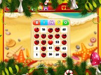 Bingo Christmas Bash - Classic Las Vegas Win screenshot, image №1739329 - RAWG