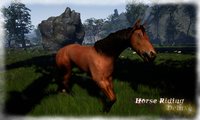 Horse Riding Deluxe screenshot, image №716035 - RAWG
