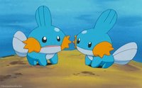 Mudkip Chaos 3 screenshot, image №1181071 - RAWG