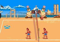 OCEAN BEACH VOLLEY - Sega Megadrive screenshot, image №2802156 - RAWG