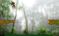 Monkey In The Jungle screenshot, image №3124785 - RAWG