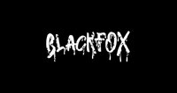 BlackFox screenshot, image №3612879 - RAWG