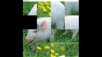 hgmGame-pig screenshot, image №4196760 - RAWG
