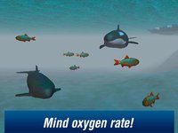 Killer Whale: Orca Simulator 3D Free screenshot, image №1333155 - RAWG